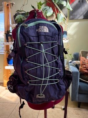 The North Face Borealis backpack, pre-owned.